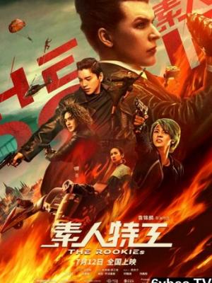 秘密档案